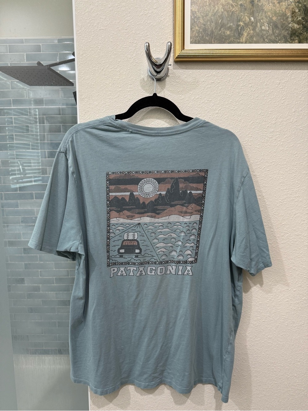 Patagonia Men’s  T-Shirt